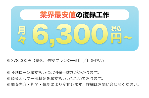 月々6,300円(税込)~